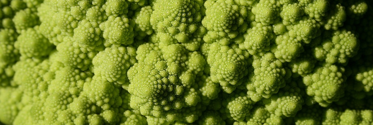 Romanesco fraktal